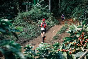 BIB: 
                            <button type="button" onclick="openModal(25855507)" class="btn btn-primary btn-sm float-right btn-popup" data-toggle="modal" data-target=".modal-high-quality">
                        <i class="fas fa-shopping-cart"></i> Add to Cart
                    </button>
                                            <button type="button" onclick="isThisMe(25855507, true)" class="btn btn-success btn-sm float-right btn-popup btn-isme hidden" data-toggle="tooltip" data-placement="bottom" title="นี่คือรูปของคุณใช่ไหม คลิกที่นี่เพื่อเอาเข้าอัลบั้ม">
                        <i class="fas fa-plus"></i> Add to album
                    </button>
                    <button type="button" onclick="isThisMe(25855507, false)" class="btn btn-warning btn-sm float-right btn-popup btn-isnotme hidden">
                        <i class="fas fa-ban"></i> Remove from album
                    </button>